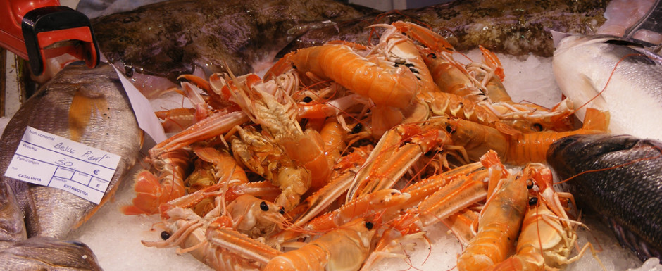 Crayfish in the fish market in Sant Feliu de Guixols, home of our vacation rental