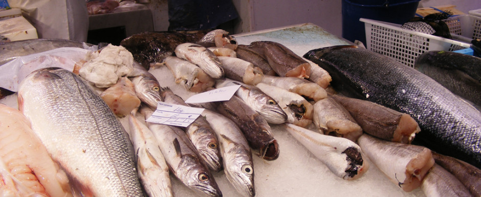 Fish in the market in Sant Feliu de Guixols where our holiday rental is located