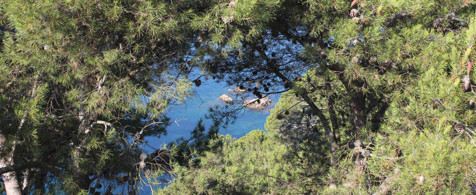 where to go in Sant Feliu de Guixols - Ermita de Sant Elm